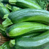 Organic Zucchini