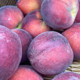 Peaches - Larchmont Farms