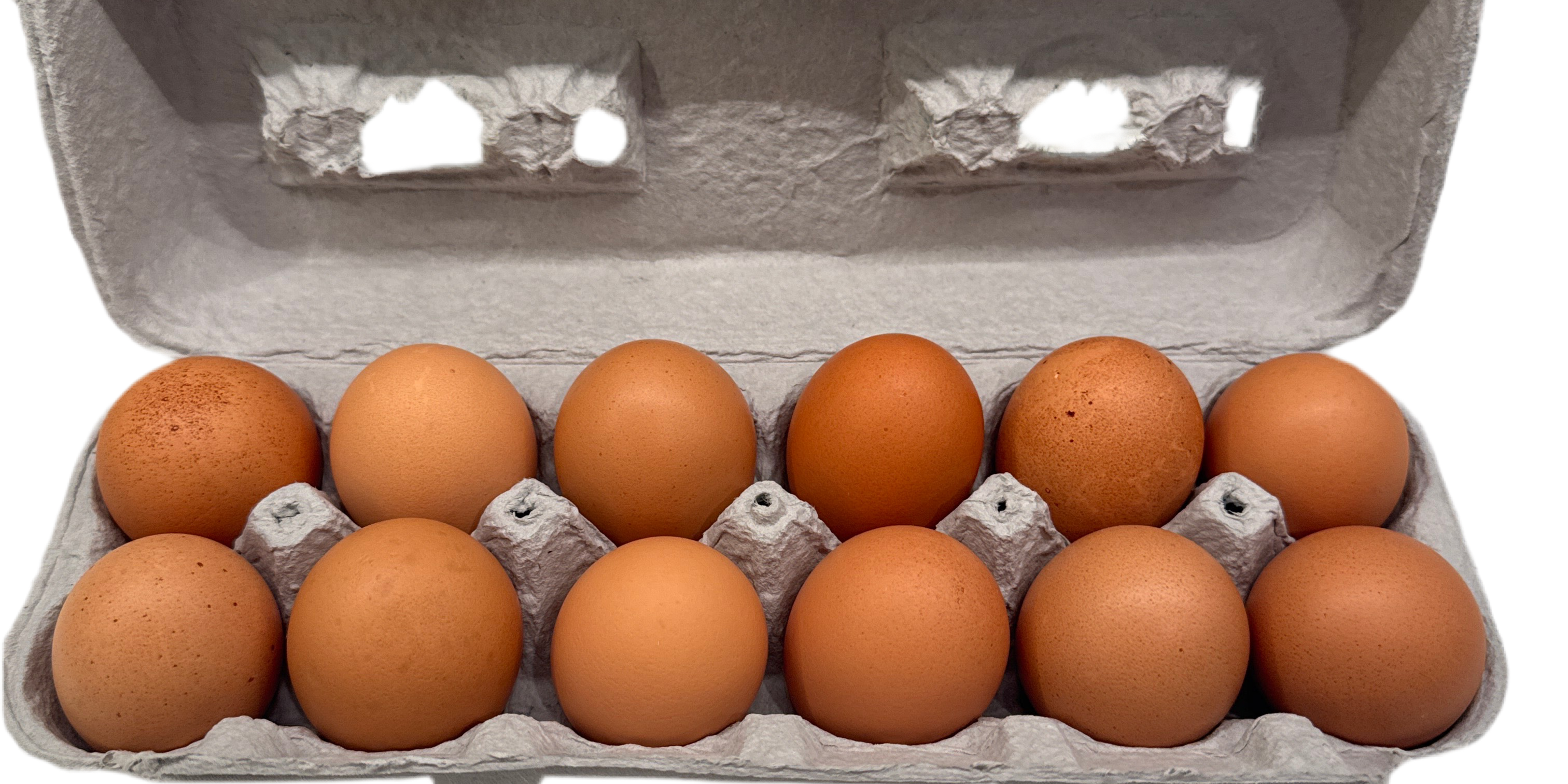 Alderfer: Free Roaming Eggs