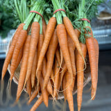 Organic Carrots