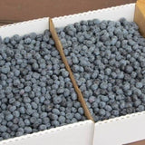 Organic Blueberry Pint