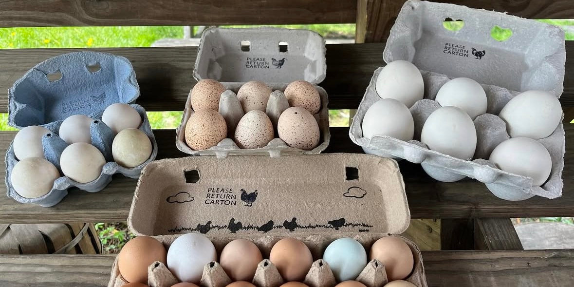 Atlantic Farms - Farm Fresh Eggs