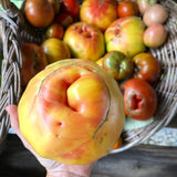 Tomatoes : It must be the Farm (2 per order)