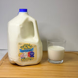 PLASTIC Gallon Lowfat Milk Battenkill Valley Creamery