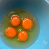 Sunny Harvest Pasture Raised Amish Eggs