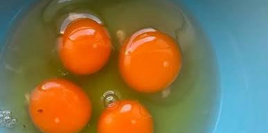 Sunny Harvest Pasture Raised Amish Eggs
