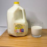 PLASTIC Gallon Skim Battenkill Valley Creamery